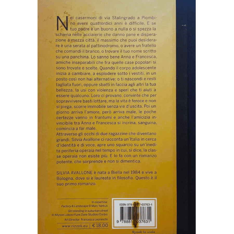 Acciaio - immagine 2