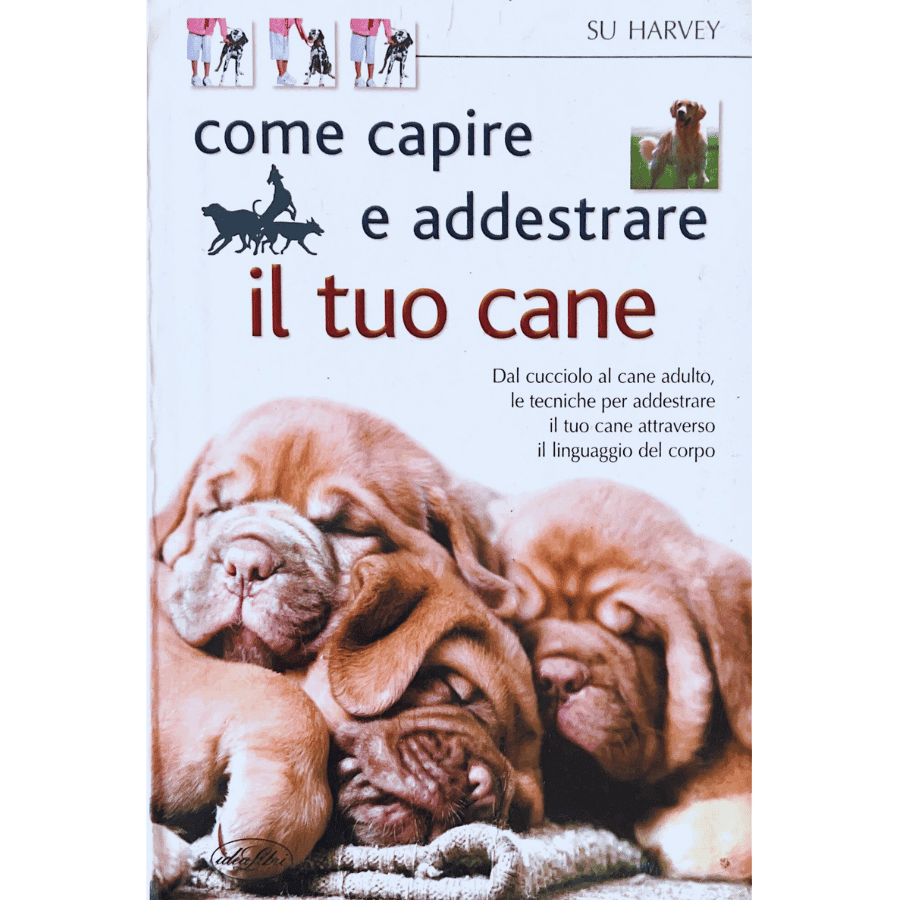 Come capire e addestrare il tuo cane