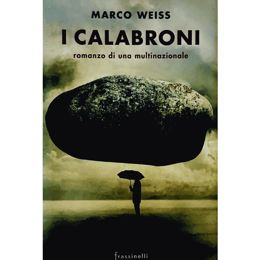 I calabroni. Romanzo di una multinazionale