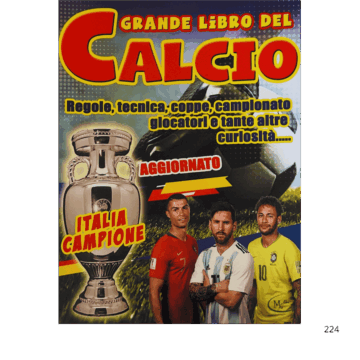 Grande libro del Calcio. Regole, tecnica, coppe, campionato giocatori e tante altre curiosità.