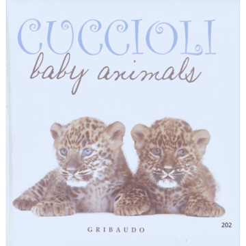 Cuccioli- baby animali