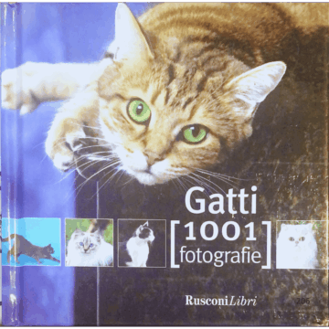 Gatti- 1001 fotografie